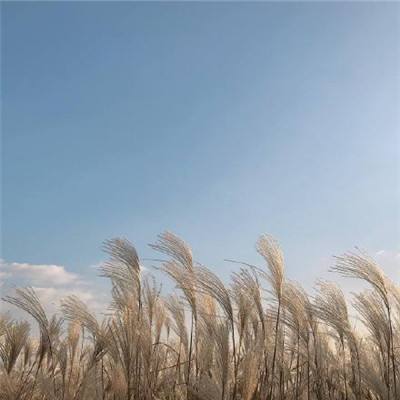 魔天录h5游戏下载