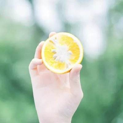 最终王冠先行版下载